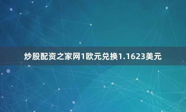 炒股配资之家网1欧元兑换1.1623美元