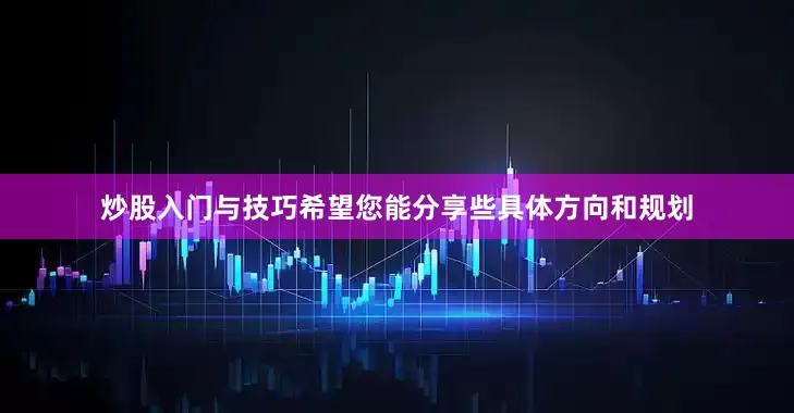 炒股入门与技巧希望您能分享些具体方向和规划