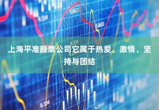 上海平准股票公司它属于热爱、激情、坚持与团结