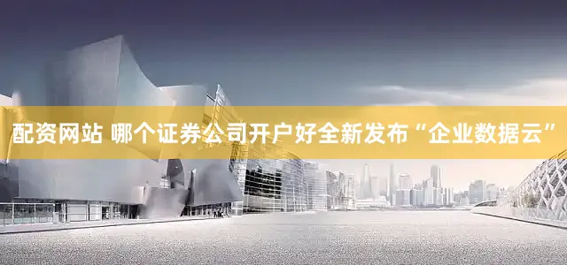 配资网站 哪个证券公司开户好全新发布“企业数据云”